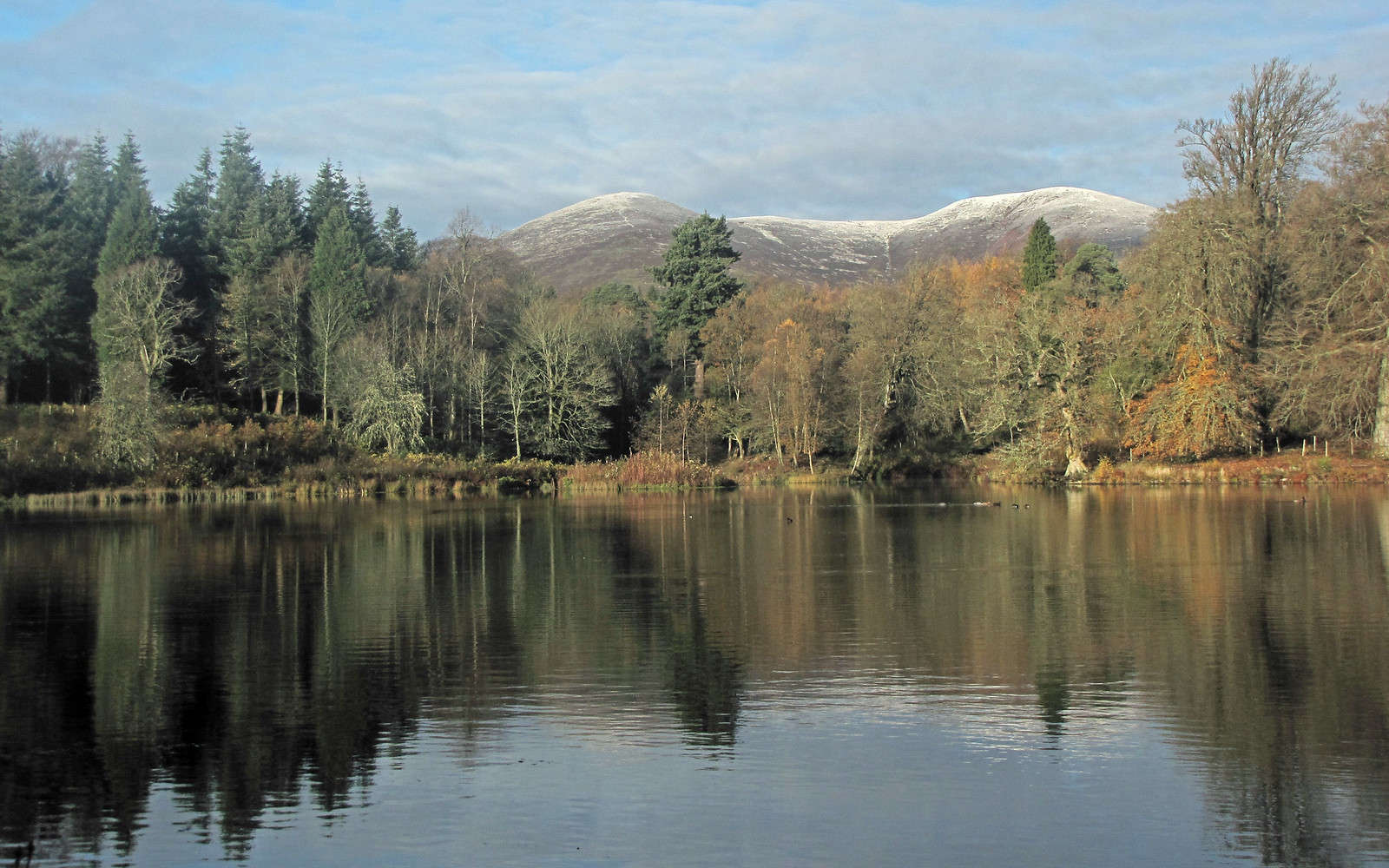 A light dusting of snow on the Pentlands.